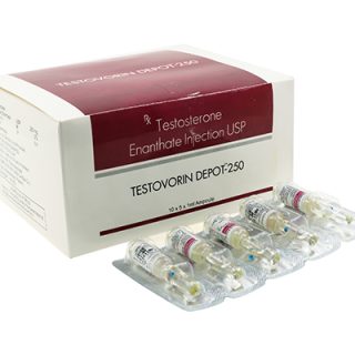Buy Testosterone enanthate: Testovorin Depot-250 Price