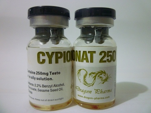 Buy Testosterone cypionate: Cypionat 250 Price