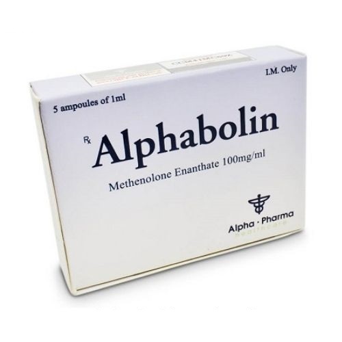 Buy Methenolone enanthate (Primobolan depot): Alphabolin Price